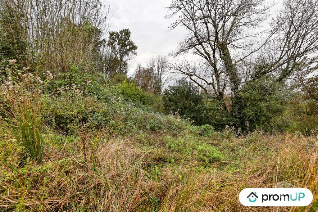 Terrain à vendre Corrèze Mansac - 19520 - Photos Vivastreet (V6903) Terrain constructible de 17 000 m2 à MANSAC