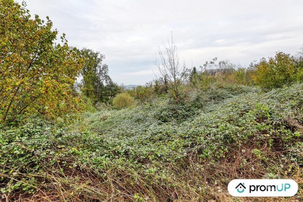Terrain à vendre Corrèze Mansac - 19520 - Photos Vivastreet (V6903) Terrain constructible de 17 000 m2 à MANSAC