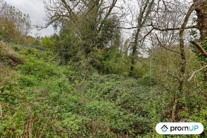Vente Terrain Mansac Corrèze - Photos Vivastreet (V6903) Terrain constructible de 17 000 m2 à MANSAC