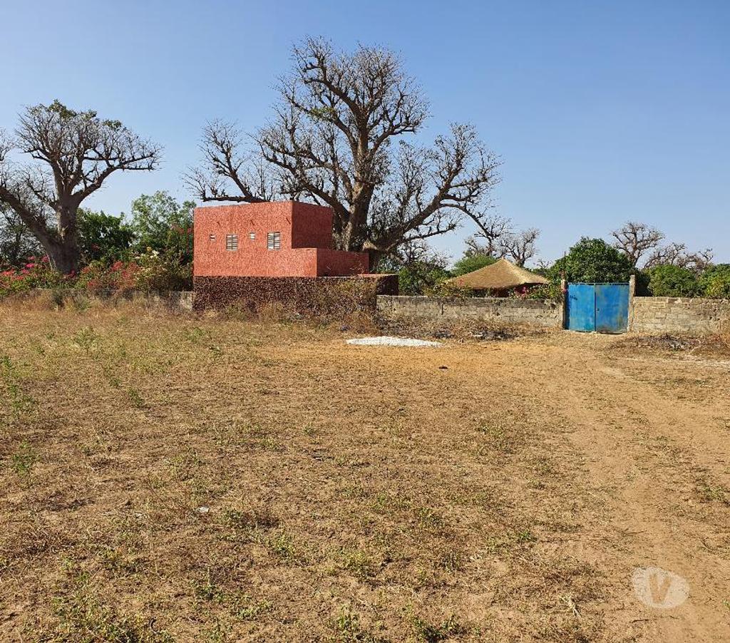 Terrain à vendre Sénégal - Photos Vivastreet TERRAINS 10 ha FACE RESERVE BANDIA SENEGAL