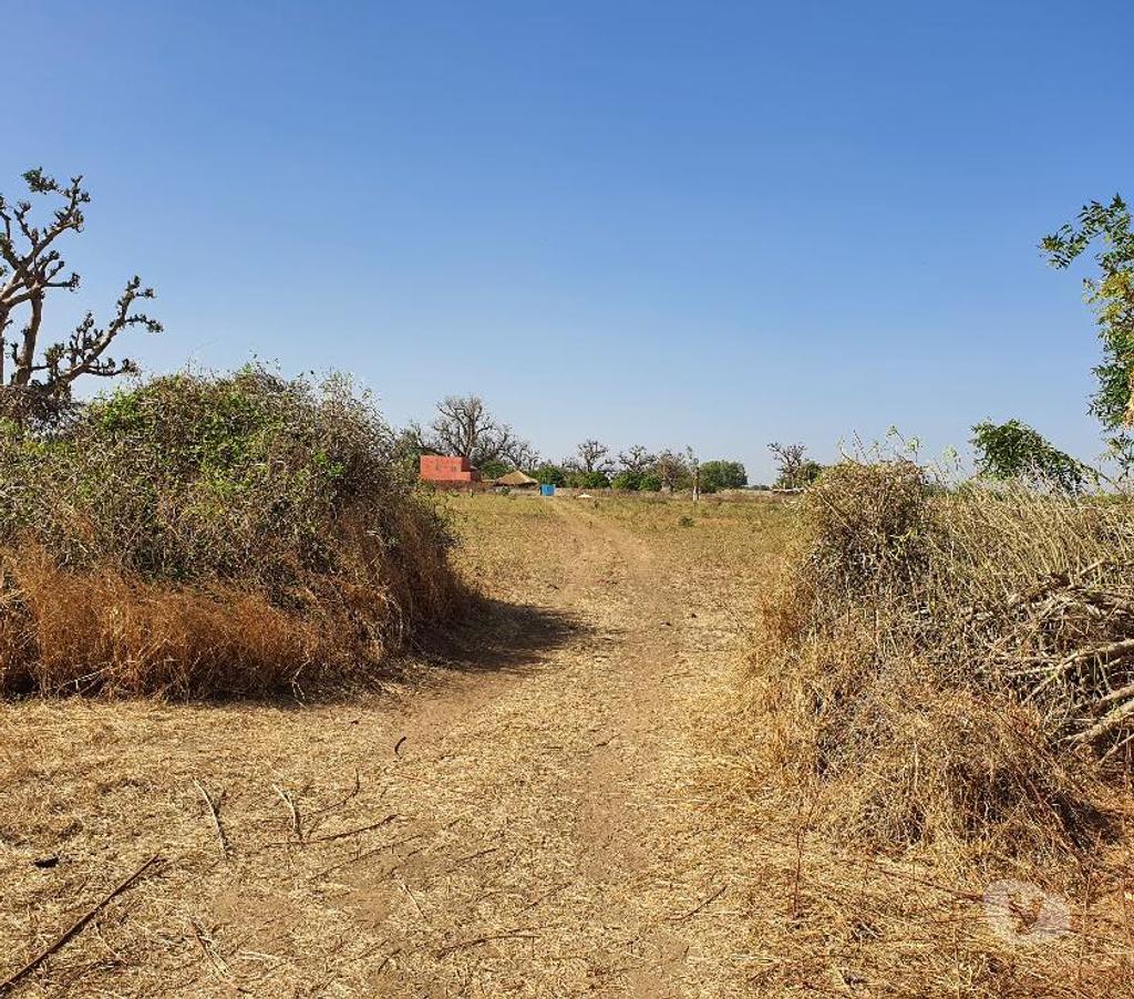 Terrain à vendre Sénégal - Photos Vivastreet TERRAINS 10 ha FACE RESERVE BANDIA SENEGAL