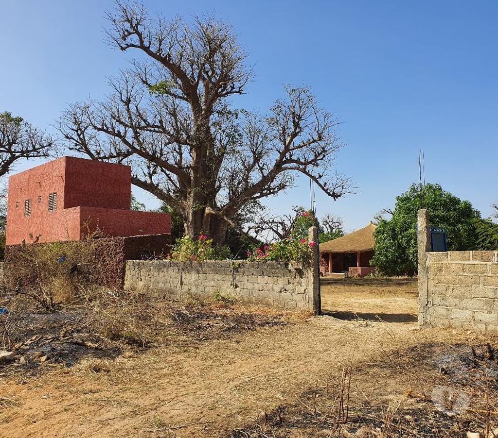 Terrain à vendre Sénégal - Photos Vivastreet TERRAINS 10 ha FACE RESERVE BANDIA SENEGAL