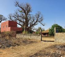 TERRAINS 10 ha FACE RESERVE BANDIA SENEGAL