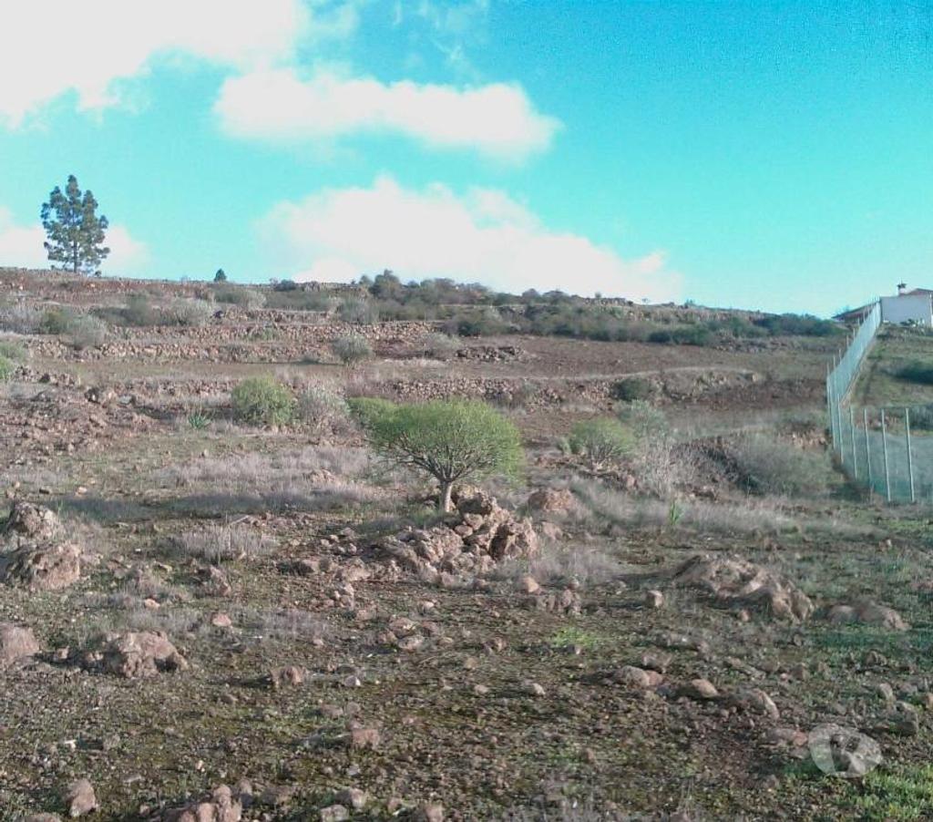 Terrain à vendre Espagne - Photos Vivastreet Terrain agricole à La Quinta de Taucho - Ténérife