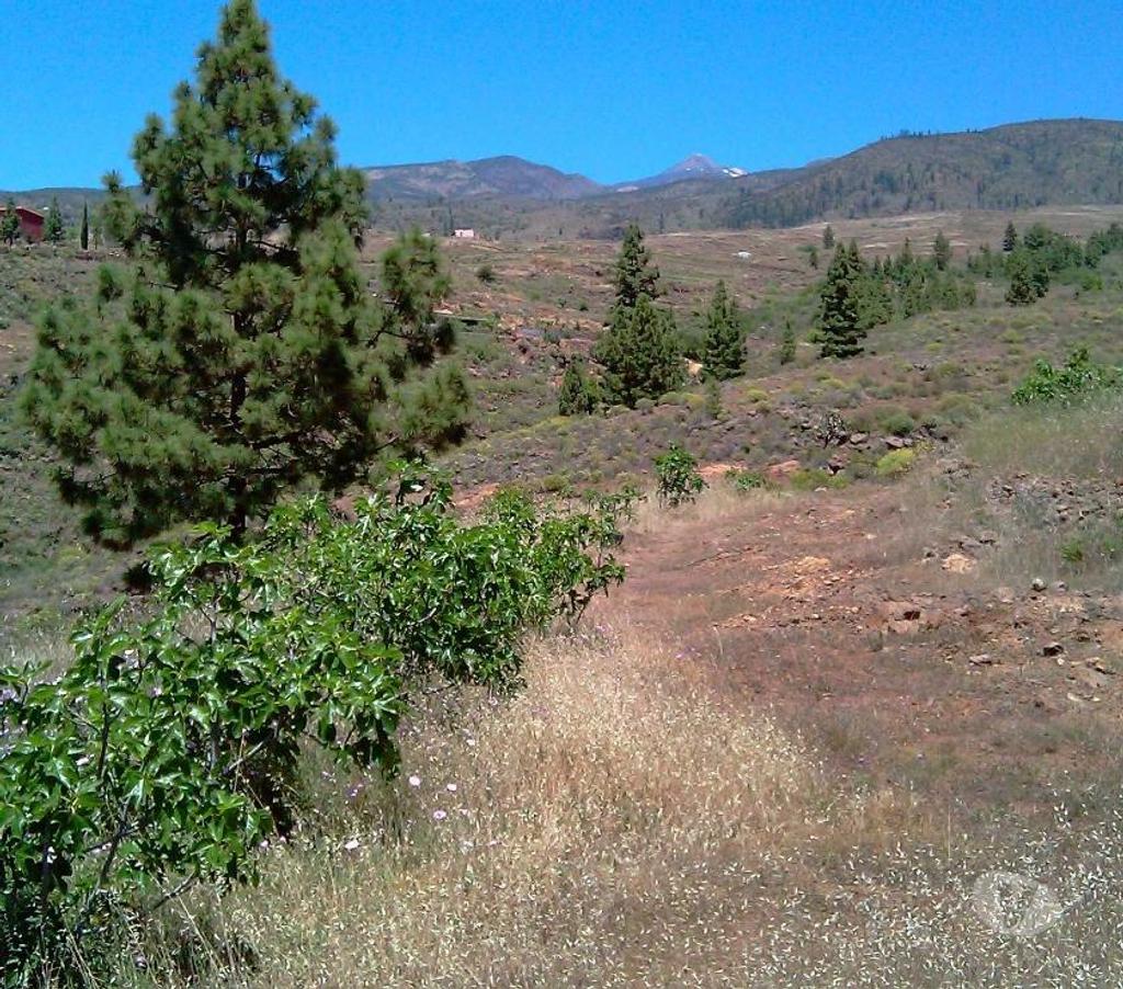Terrain à vendre Espagne - Photos Vivastreet Terrain agricole à La Quinta – Taucho - Ténérife