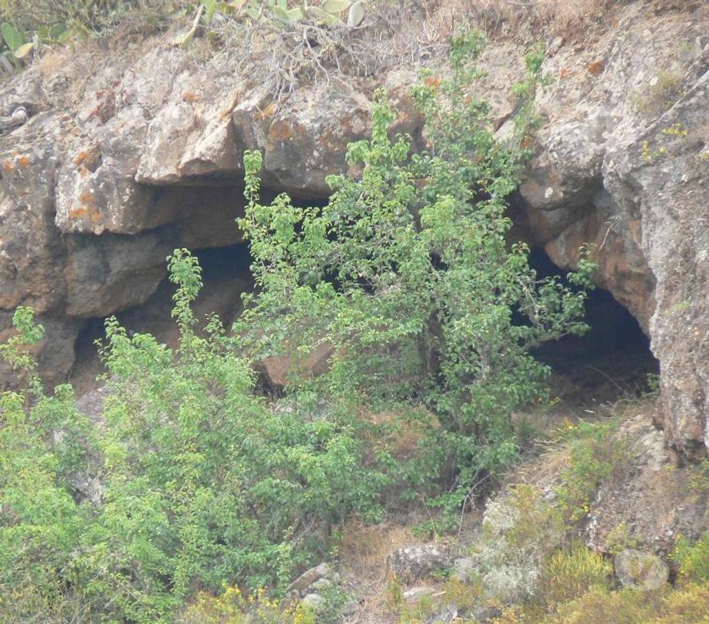 Terrain à vendre Espagne - Photos Vivastreet Terrain agricole à La Quinta – Taucho - Ténérife
