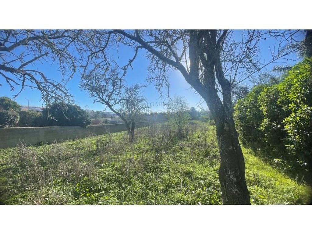 Terrain à vendre Portugal - Photos Vivastreet Terrain avec parcelle constructible pour une villa à Praia da...