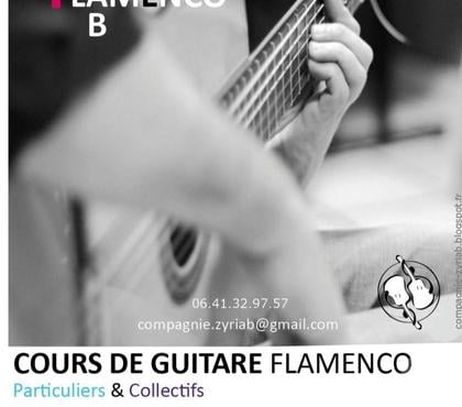 Musique - Théâtre - Danse Lyon Lyon - Photos Vivastreet Cours de Guitare Flamenco Lyon 5e