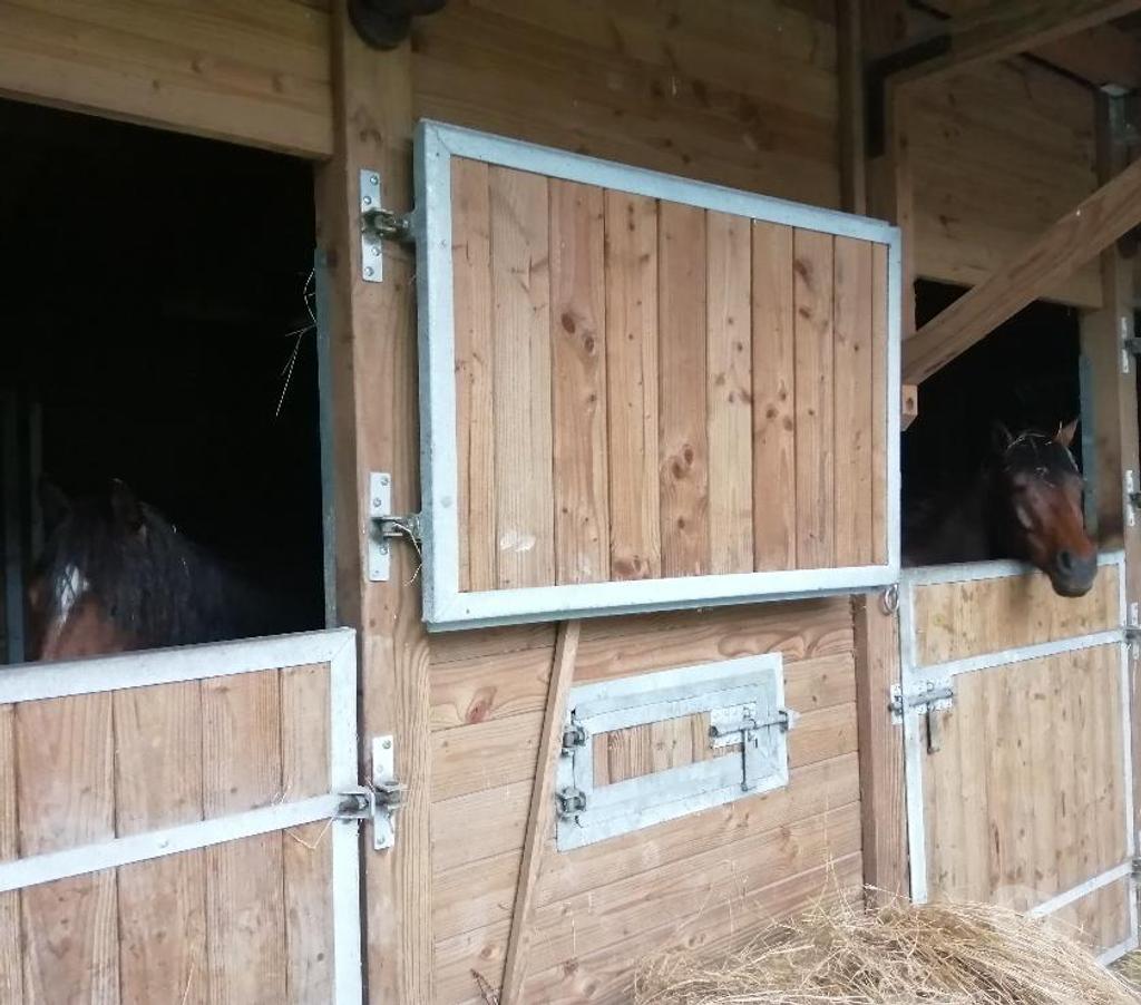 Services, accessoires animaux Landes Taller - 40260 - Photos Vivastreet prête un poney pour balade