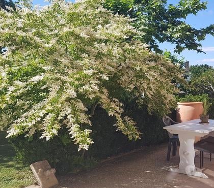 location vacance Vazerac Tarn-et-Garonne - Photos Vivastreet Grande chambre 32m2 chez l'habitant Tarn et Garonne 82
