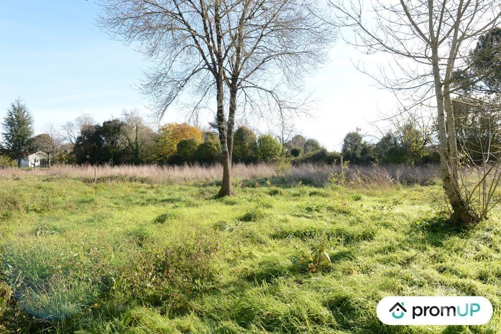 Terrain à vendre Gironde Beguey - 33410 - Photos Vivastreet (V6936) Terrain constructible de 1398 m2 à BÉGUEY