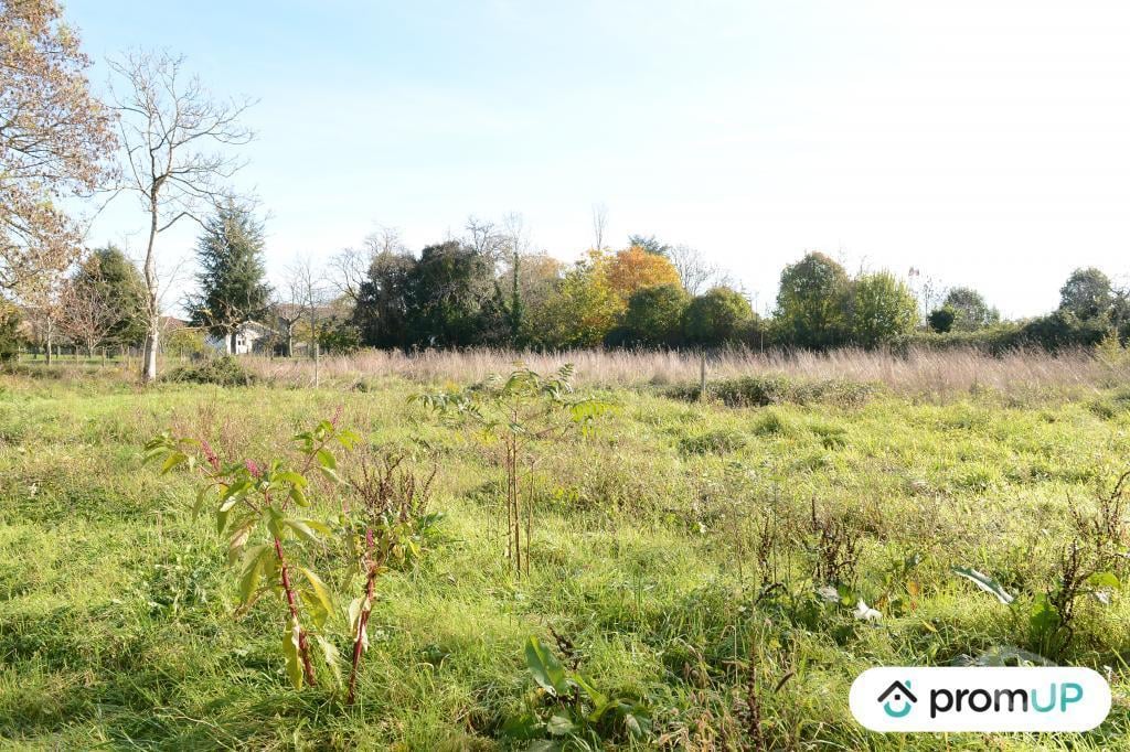 Terrain à vendre Gironde Beguey - 33410 - Photos Vivastreet (V6936) Terrain constructible de 1398 m2 à BÉGUEY