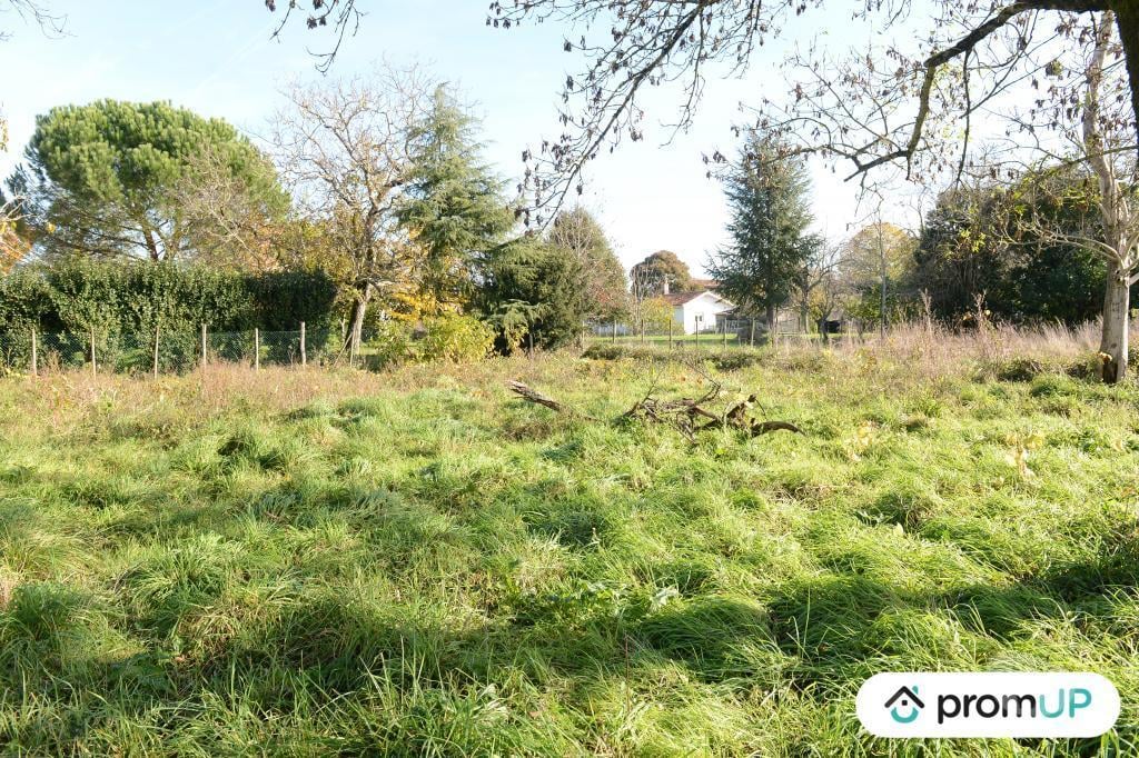 Terrain à vendre Gironde Beguey - 33410 - Photos Vivastreet (V6936) Terrain constructible de 1398 m2 à BÉGUEY