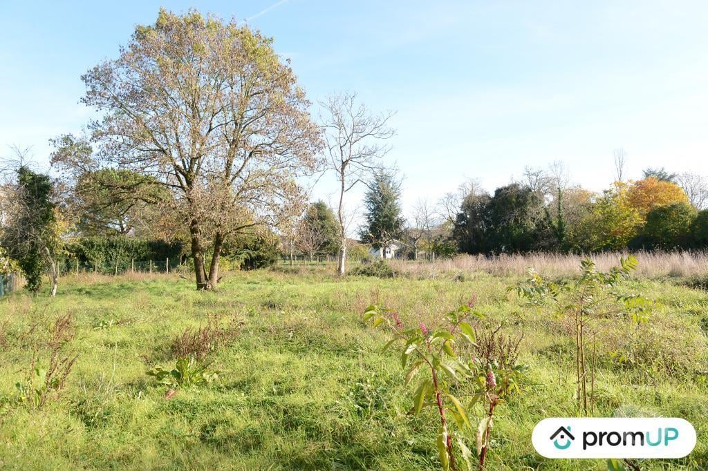 Terrain à vendre Gironde Beguey - 33410 - Photos Vivastreet (V6936) Terrain constructible de 1398 m2 à BÉGUEY