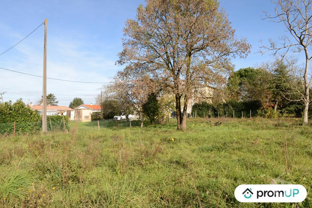 Terrain à vendre Gironde Beguey - 33410 - Photos Vivastreet (V6936) Terrain constructible de 1398 m2 à BÉGUEY