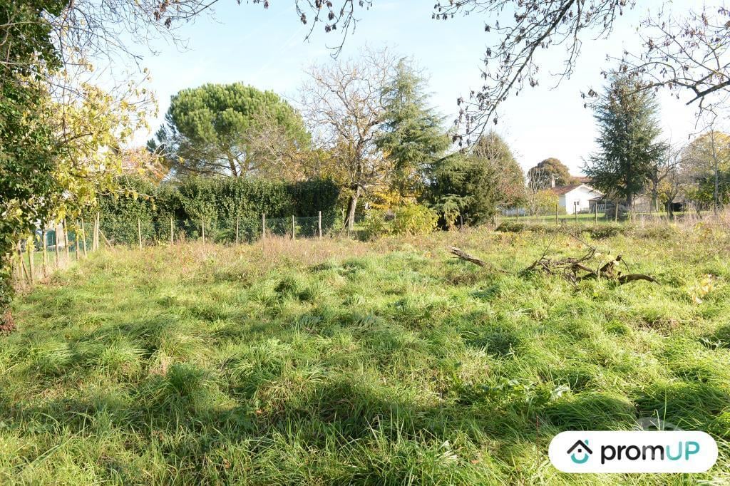 Terrain à vendre Gironde Beguey - 33410 - Photos Vivastreet (V6936) Terrain constructible de 1398 m2 à BÉGUEY