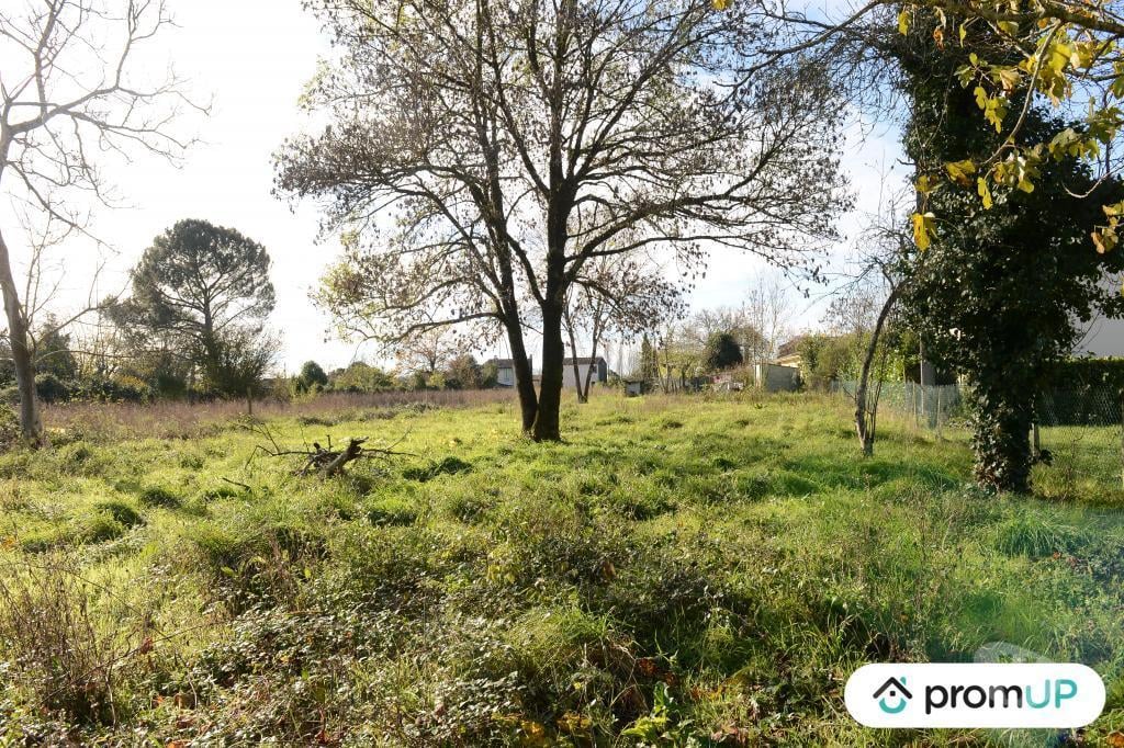 Terrain à vendre Gironde Beguey - 33410 - Photos Vivastreet (V6936) Terrain constructible de 1398 m2 à BÉGUEY