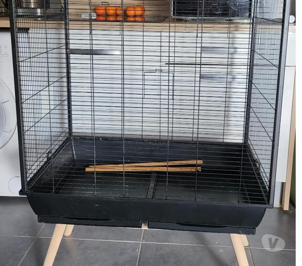 Services, accessoires animaux Hérault Montpellier - Photos Vivastreet Vend Cage à perroquets 80 cm sur 50 cm 70€