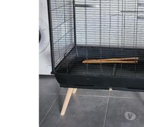 Vend Cage à perroquets 80 cm sur 50 cm 70€