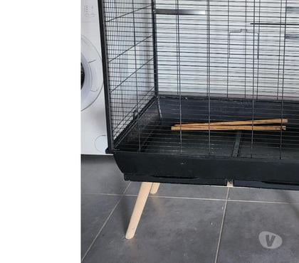Services, accessoires animaux Montpellier Montpellier - Photos Vivastreet Vend Cage à perroquets 80 cm sur 50 cm 70€