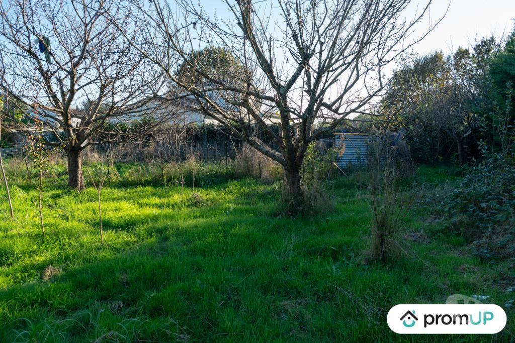 Terrain à vendre Tarn-et-Garonne Montbeton - 82290 - Photos Vivastreet (V6925) Terrain constructible de 1000 m2 à MONTBETON