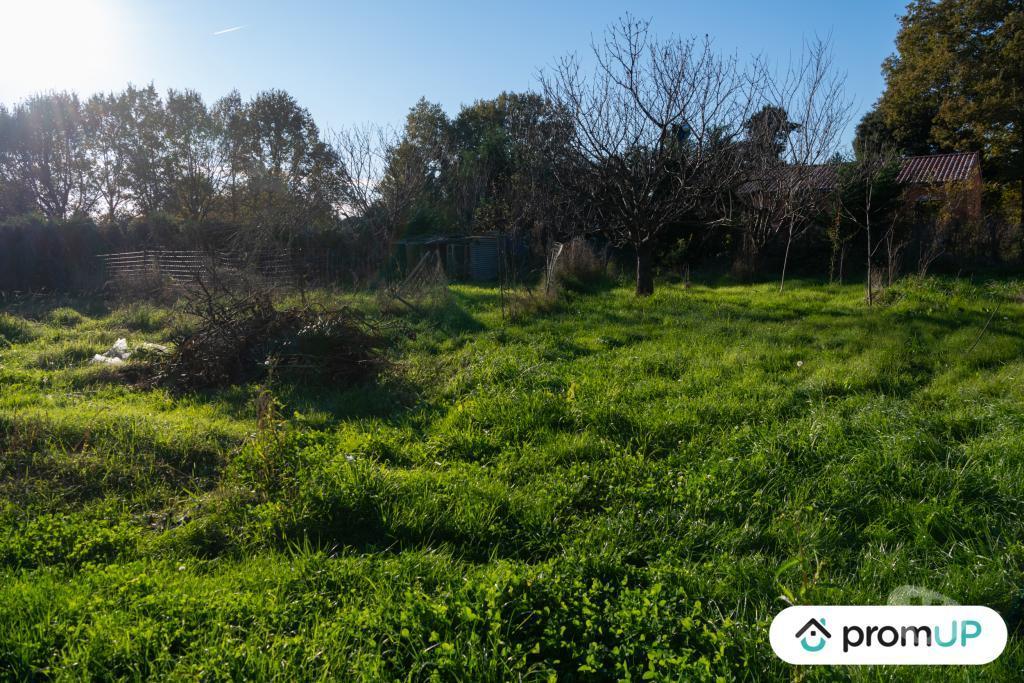Terrain à vendre Tarn-et-Garonne Montbeton - 82290 - Photos Vivastreet (V6925) Terrain constructible de 1000 m2 à MONTBETON