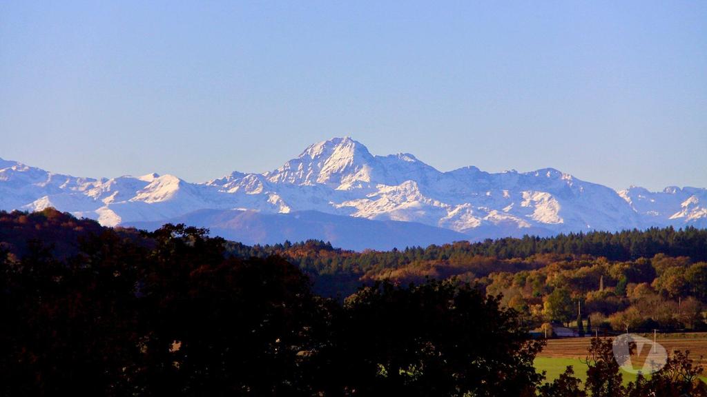 Vente Maison Hautes-Pyrénées Castelnau Magnoac - 65230 - Photos Vivastreet Manoir avec 14 hectares, carrière professionnelle et écuries,