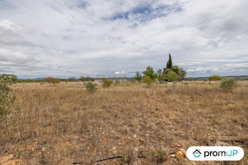 Terrain à vendre Aude Puicheric - 11700 - Photos Vivastreet (VT926) Terrain agricole de 3ha45a situé à Puichéric