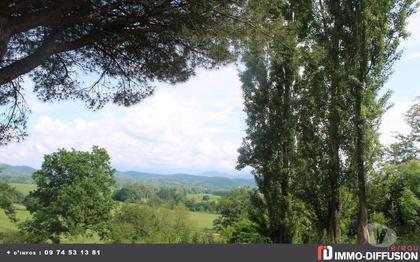 Maison à vendre St Gaudens St Gaudens - Photos Vivastreet Propriété Demeure avec dépendances
