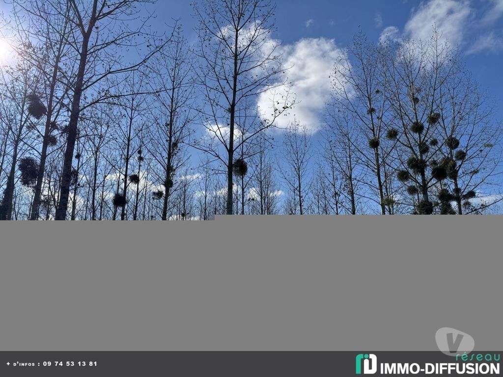 Vente Maison Lot-et-Garonne Casteljaloux - 47700 - Photos Vivastreet Propriété