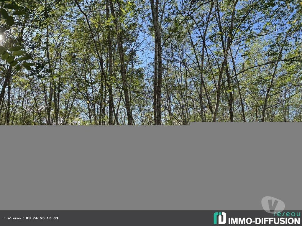 Vente Maison Lot-et-Garonne Casteljaloux - 47700 - Photos Vivastreet Propriété