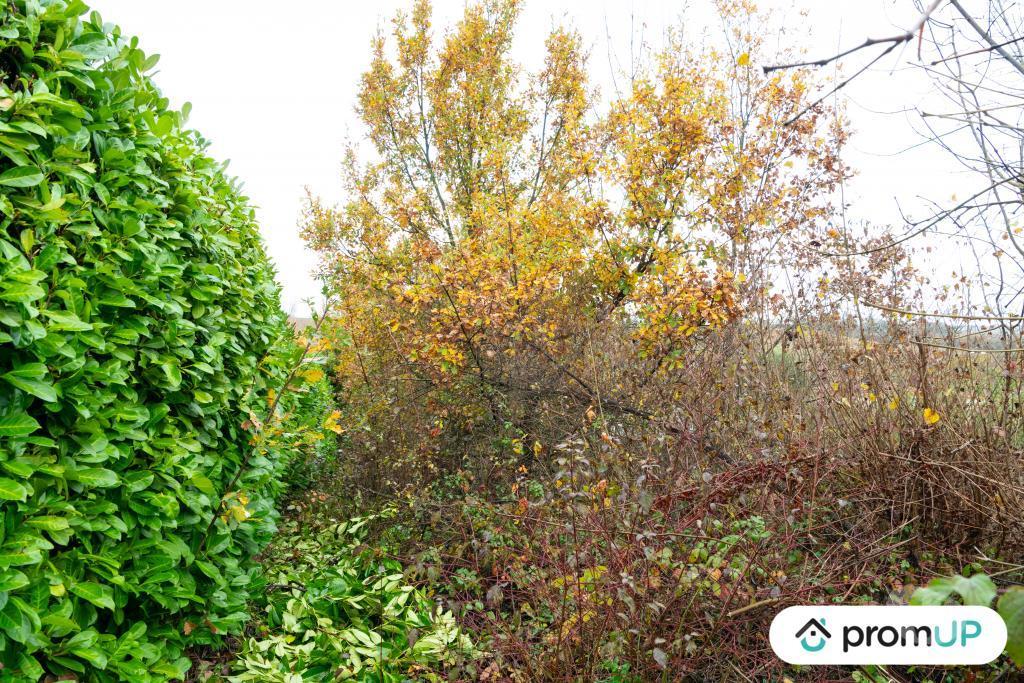 Terrain à vendre Haute-Garonne Nailloux - 31560 - Photos Vivastreet (V6942) Terrain constructible de 5457 m2 à NAILLOUX