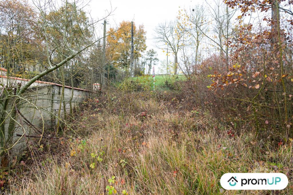 Terrain à vendre Haute-Garonne Nailloux - 31560 - Photos Vivastreet (V6942) Terrain constructible de 5457 m2 à NAILLOUX