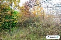 Photos Vivastreet (V6942) Terrain constructible de 5457 m2 à NAILLOUX