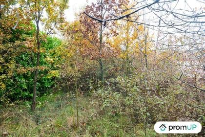 Terrain à vendre Nailloux Haute-Garonne - Photos Vivastreet (V6942) Terrain constructible de 5457 m2 à NAILLOUX