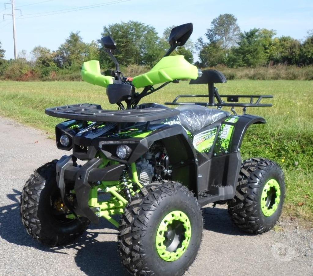 Quad occasion Pyrénées-Atlantiques Montaner - 64460 - Photos Vivastreet Quad 125 BAROUDEUR neuf dispo
