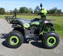 Photos Vivastreet Quad 125 BAROUDEUR neuf dispo