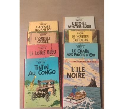 Livres occasion Vienne Isère - Photos Vivastreet lot livres de tintin