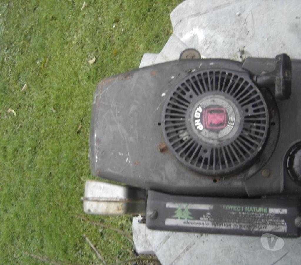  Côte-d'Or Chevigny St Sauveur - 21800 - Photos Vivastreet moteur techumsey pour tondeuse