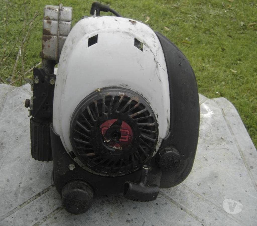  Côte-d'Or Chevigny St Sauveur - 21800 - Photos Vivastreet moteur techumsey pour tondeuse 5cv