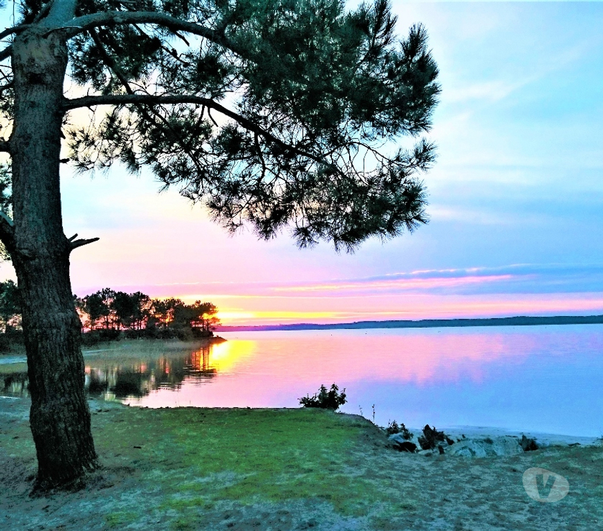 Vente Maison Gironde Lacanau - 33680 - Photos Vivastreet PAVILLON intimiste en secteur protégé