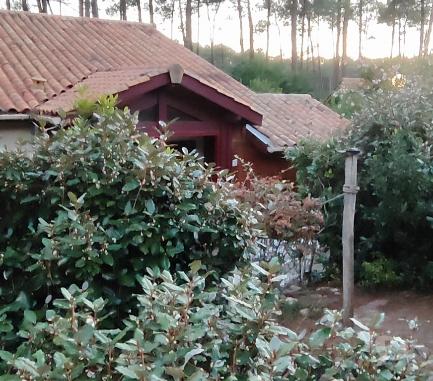 Vente Maison Gironde Lacanau - 33680 - Photos Vivastreet PAVILLON intimiste en secteur protégé