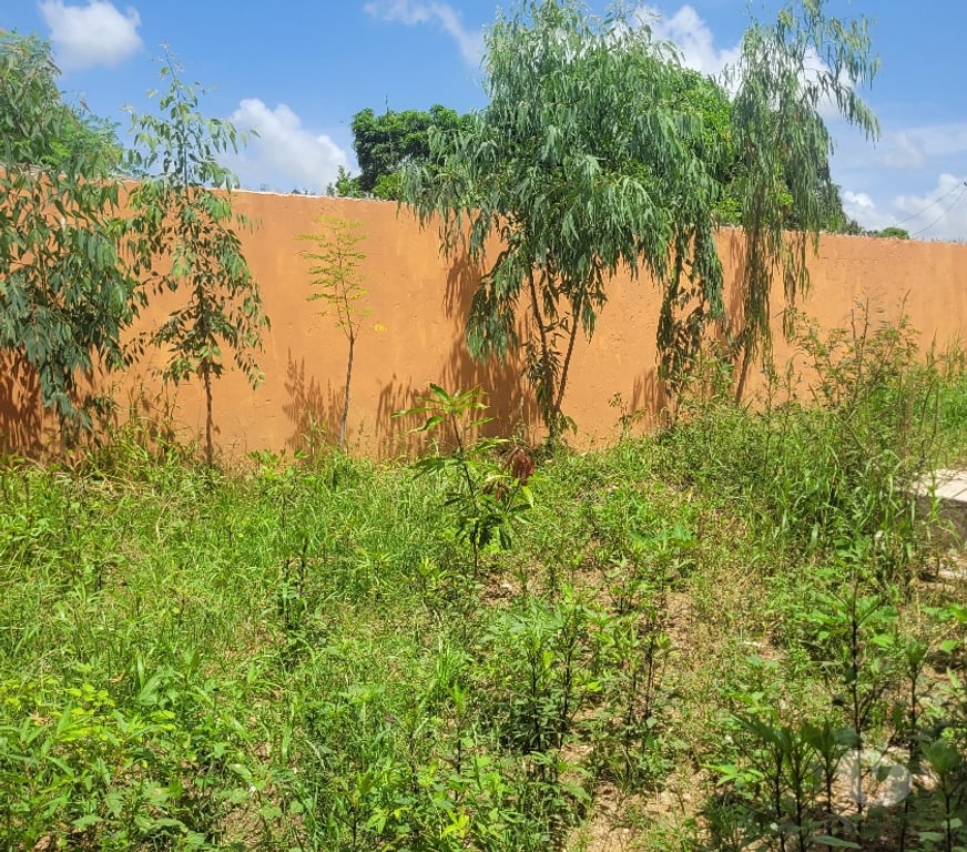 Vente Maison Sénégal - Photos Vivastreet Vends Villa avec piscine Popenguine