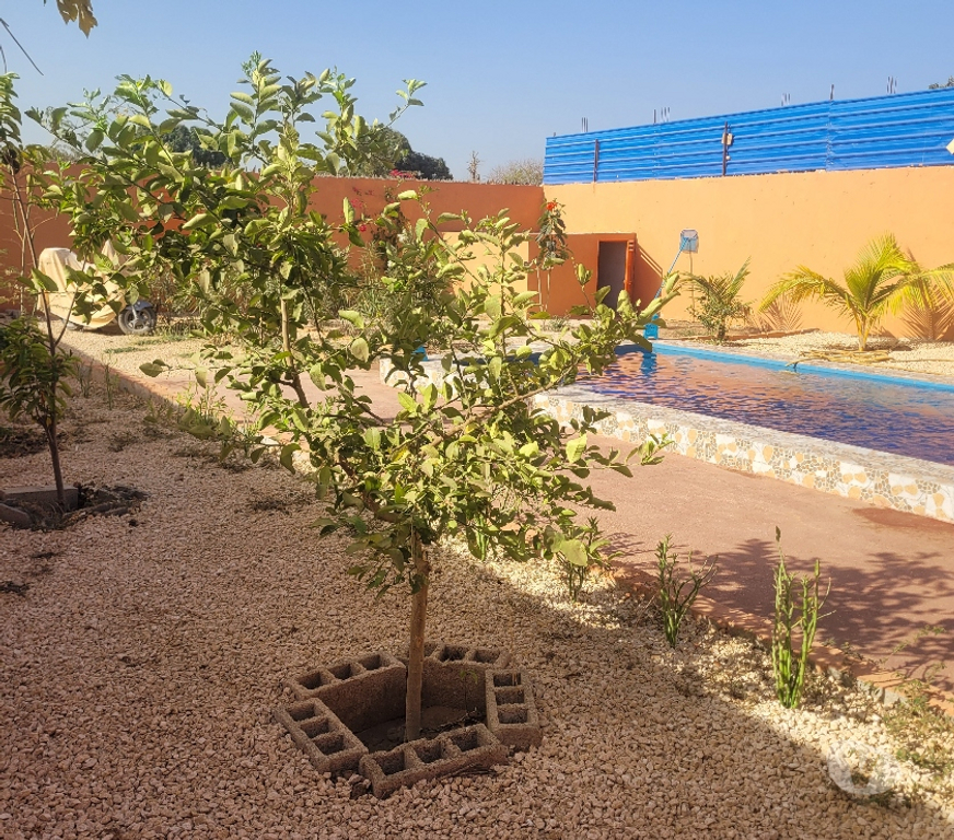Vente Maison Sénégal - Photos Vivastreet Vends Villa avec piscine Popenguine Prix en baisse