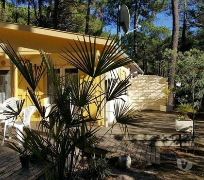 Locations de vacances Grayan et l'Hopital Gironde - Photos Vivastreet studio dans village vacances euronat