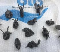 Figurines Dragons en plomb