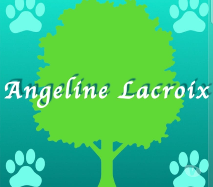 Services, accessoires animaux Corrèze Brive la Gaillarde - 19100 - Photos Vivastreet Naturopathie animalière