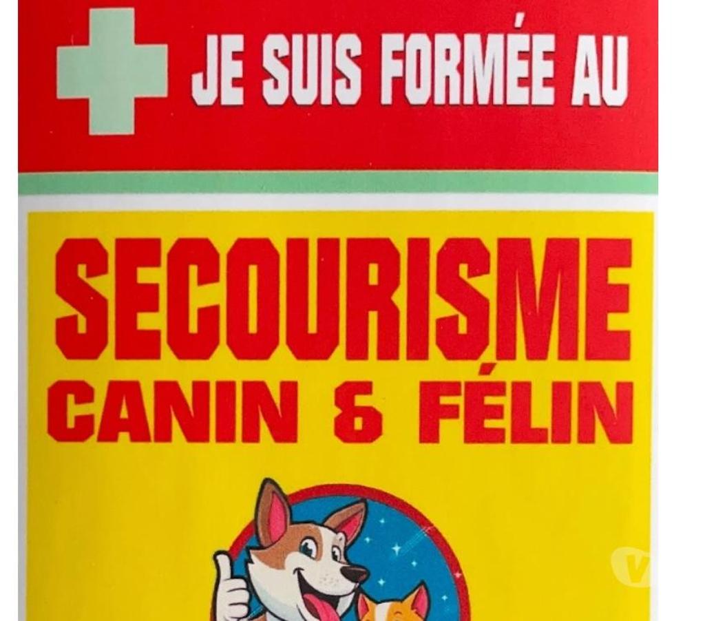Services, accessoires animaux Corrèze Brive la Gaillarde - 19100 - Photos Vivastreet Naturopathie animalière