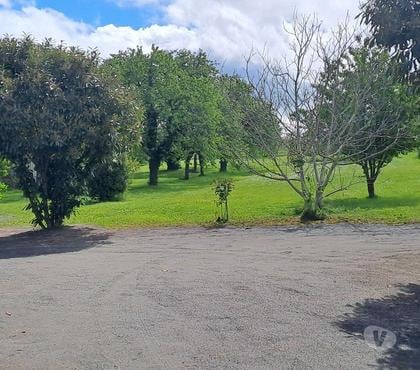 Achat maison Macon Saône-et-Loire - Photos Vivastreet Igé, Maison de village 80 m² avec 780m² de terrain