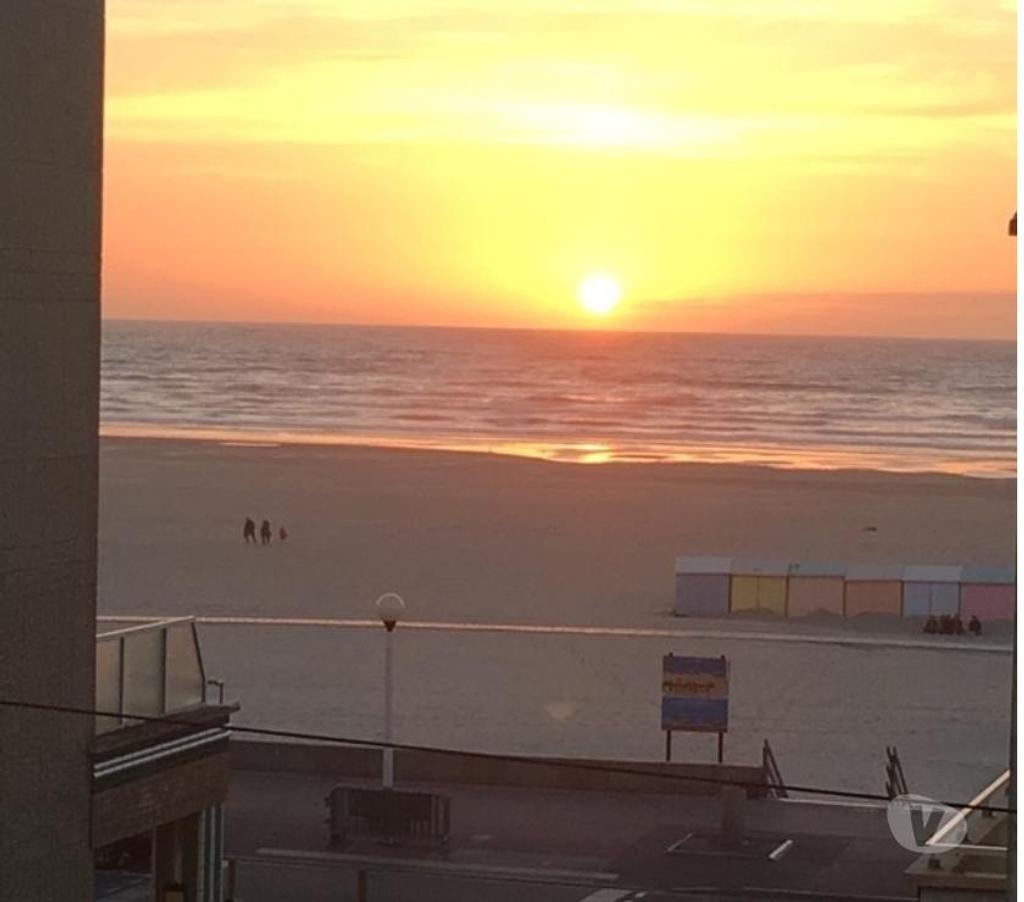 Appartement meublé Pas-de-Calais Berck - 62600 - Photos Vivastreet Studio Etudiant tout à Pied - TV - WIFI Permis de Louer ok